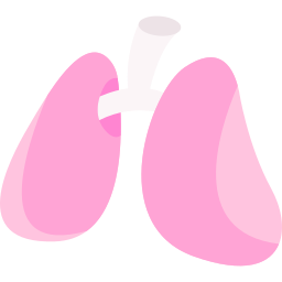 Lungs icon