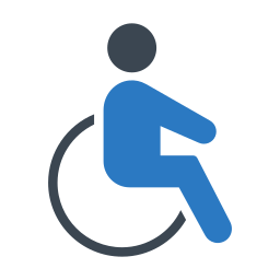 handicap Icône