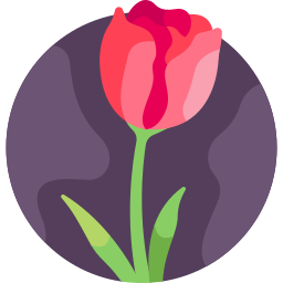 tulpe icon