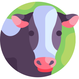 Cow icon