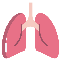 Lungs icon