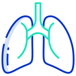 Lungs icon