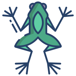 Frog icon