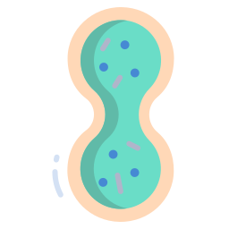 Mitosis icon