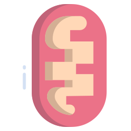 Mitochondria icon