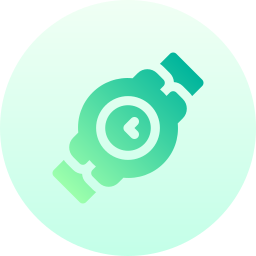 Wristwatch icon