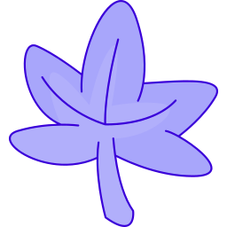 Leaf icon