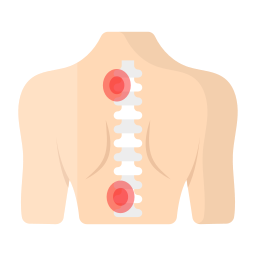 moelle épinière Icône