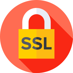 ssl icoon