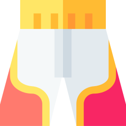 Shorts icon