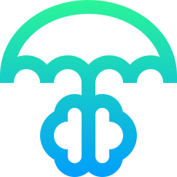 Brain icon