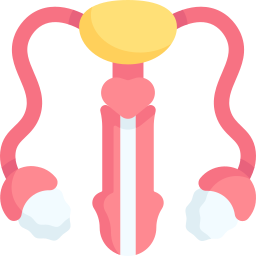 Reproductive system icon