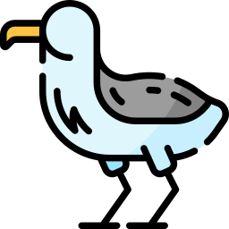 Albatross icon