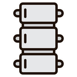 Spine icon