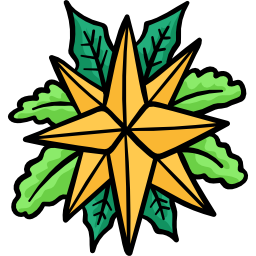 Star icon