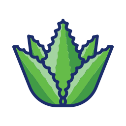 aloe vera icon