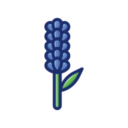 lavendel icon