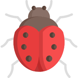 coccinella icona