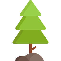 Pine icon