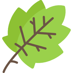 Leaf icon