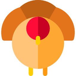 Turkey icon