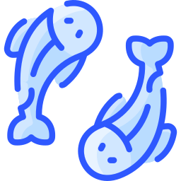 Koi icon