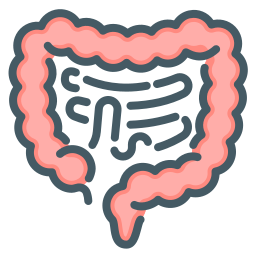 gastro-entérologie Icône