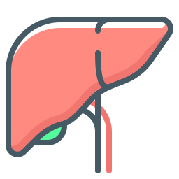 hepatologia Ícone