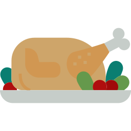 Turkey icon