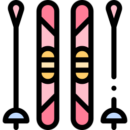 Skii icon