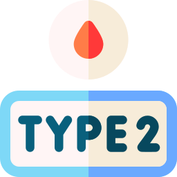 Type 2 icon