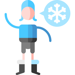 winter icon