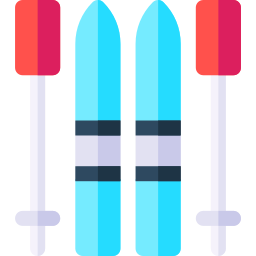 Skis icon