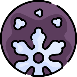 Snowflake icon