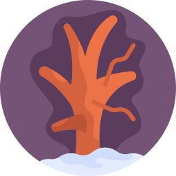 Winter tree icon