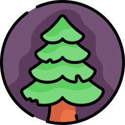 Pine tree icon