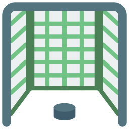 Hockey goal icon