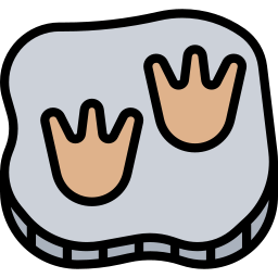 Footprint icon