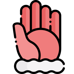 handschuh icon