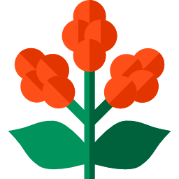 植物 icon