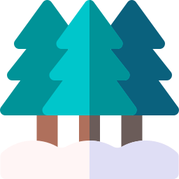 Pine icon