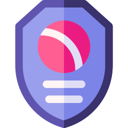 Shield icon