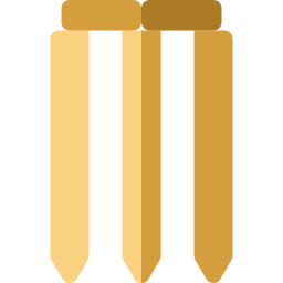 Wicket icon