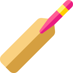 Cricket bat icon