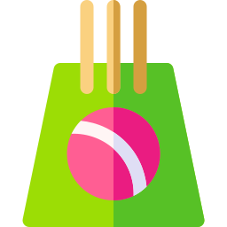 Wicket icon