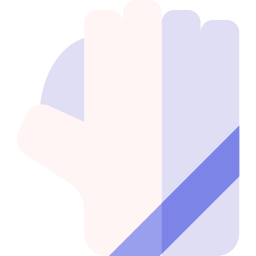 Gloves icon