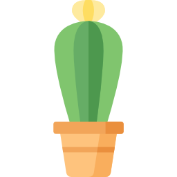 cactus icoon