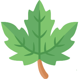 Leaf icon