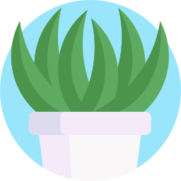 多肉植物 icon