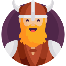 viking icoon